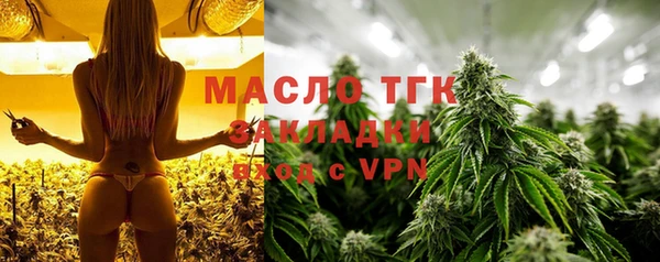 индика Аша