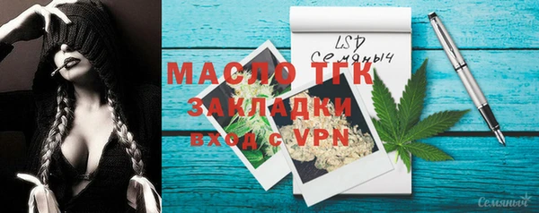 индика Аша