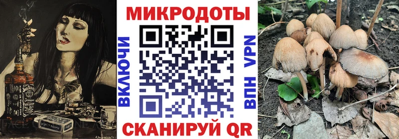 Псилоцибиновые грибы Magic Shrooms продажа наркотиков Лукоянов