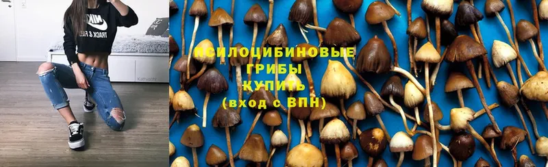 Псилоцибиновые грибы мухоморы  Лукоянов 